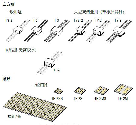 尊龙凯时·(中国)人生就是搏!