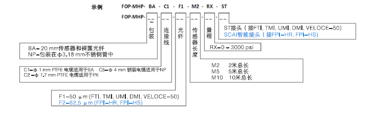 尊龙凯时·(中国)人生就是搏!