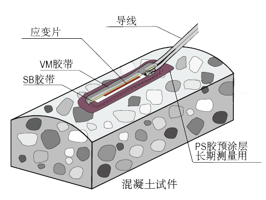 尊龙凯时·(中国)人生就是搏!