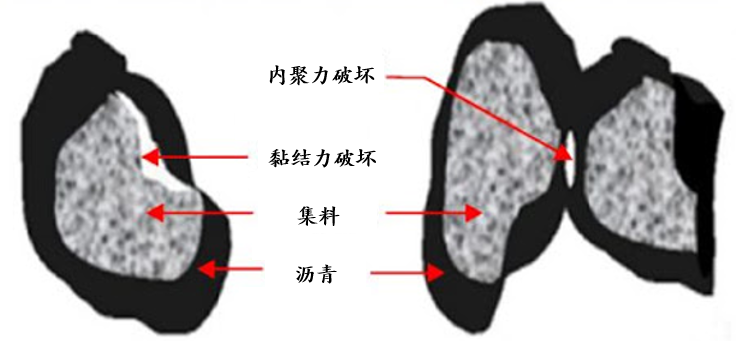 尊龙凯时·(中国)人生就是搏!