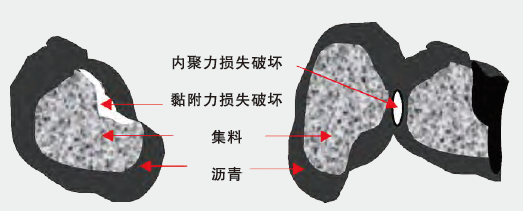 尊龙凯时·(中国)人生就是搏!